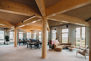 Der Taupunkt-Falle entkommen